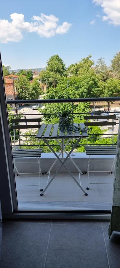Palaia Premium Flat Apartamento Volos Exterior foto
