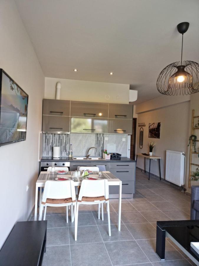 Palaia Premium Flat Apartamento Volos Exterior foto
